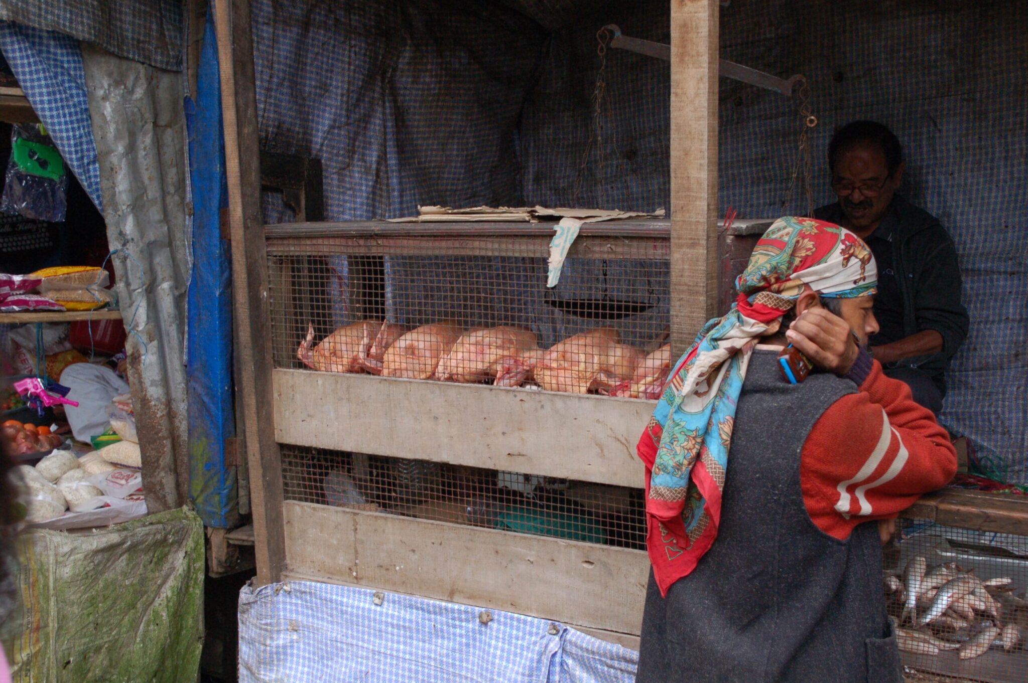 Prodej kuřat v Indii