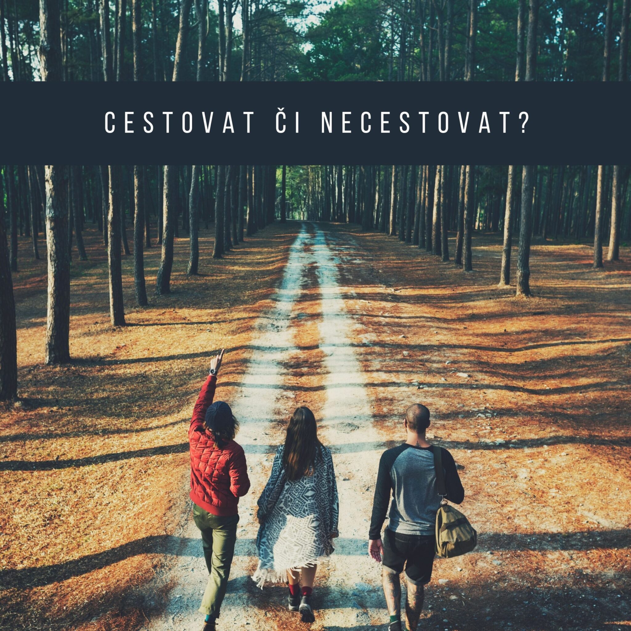 Cestování ano nebo ne?