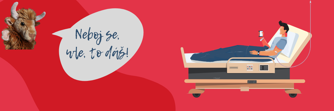 Motivace k darování krve