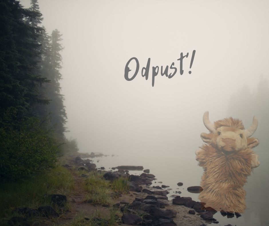 Báseň volající po odpuštění