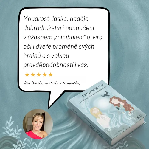 Ilustrace s recenzí románu a knížkou, na pozadí proud řeky ztrácející se v mlze